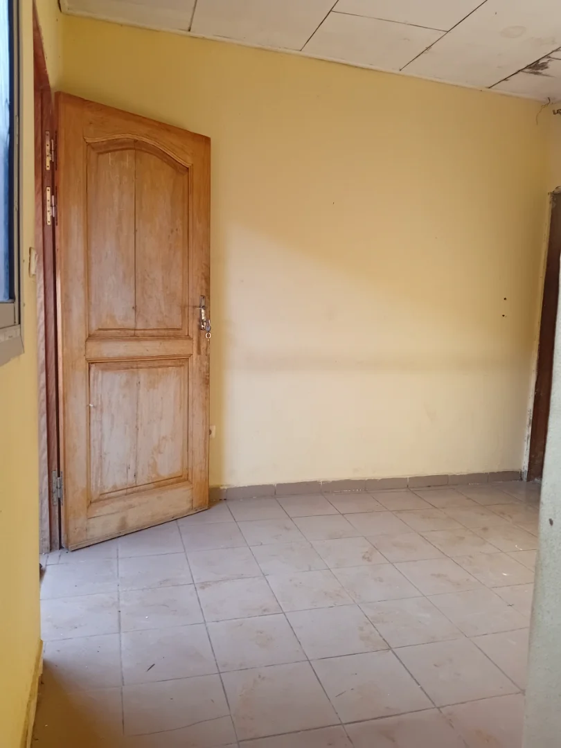 Studio moderne qui vient d'être libéré ici a biyem assi jouvence. — photo 2