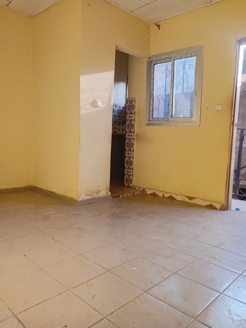Studio moderne qui vient d'être libéré ici a biyem assi jouvence. — photo 3